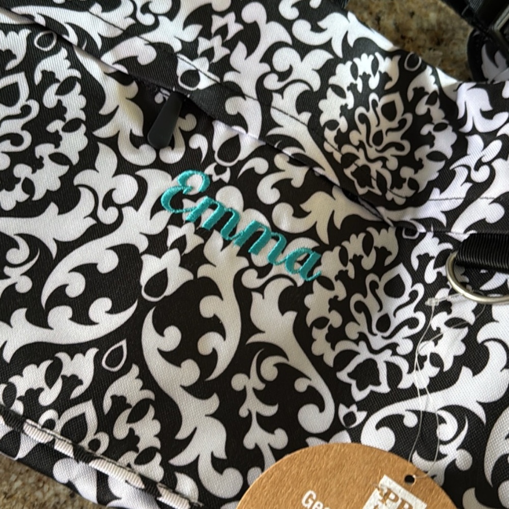 Pottery Barn messenger bag/ Emma